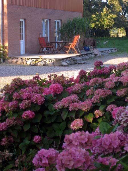 Hof Faasel - Bauernhofurlaub An Der Ostsee Grömitz Kültér fotó